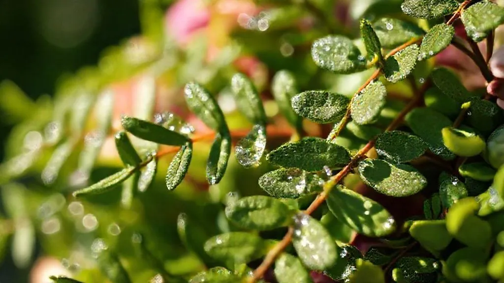 Summer Weddings: 7 Pro Steps for 12+ Hour Fresh Greenery